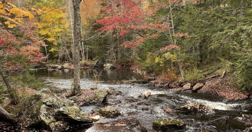 A serene river flows through a forest with vibrant autumn foliage in shades of red, orange, and yellow.