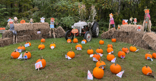 A festive fall scene with pumpkins, hay bales, scarecrows, and a vintage tractor surrounded by autumn decorations.