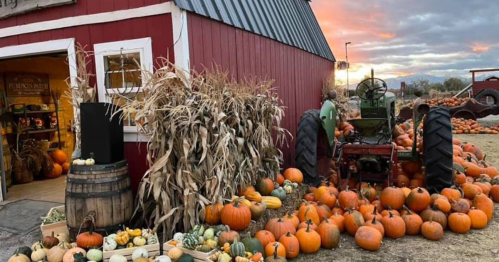 A red barn with pumpkins and gourds outside, a tractor nearby, and a sunset in the background.
