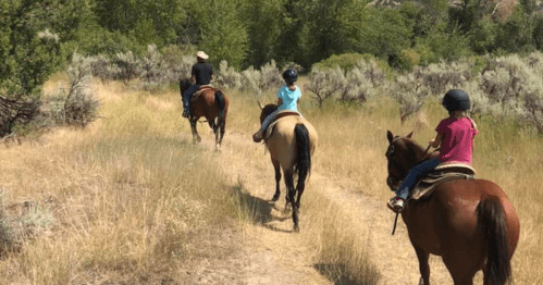 Three people riding horses along a grassy trail surrounded by shrubs and trees on a sunny day.