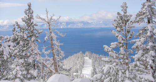 Snow-covered trees frame a serene view of a lake and distant mountains under a clear blue sky.