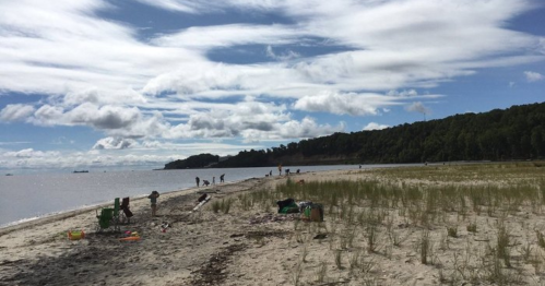 A sandy beach with people walking along the shore, surrounded by trees and a cloudy sky.