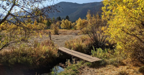A serene landscape featuring a wooden bridge over a small stream, surrounded by autumn foliage and mountains in the background.