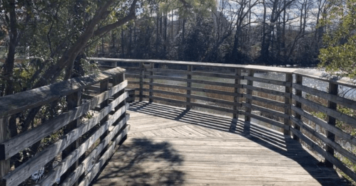A wooden boardwalk curves along a serene waterway, surrounded by trees and sunlight.