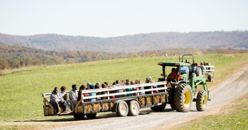 A tractor pulls a hayride filled with people through a scenic, grassy field on a sunny day.