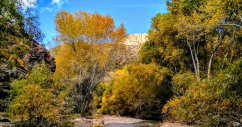 A serene landscape featuring a river surrounded by trees with autumn foliage and rocky cliffs in the background.