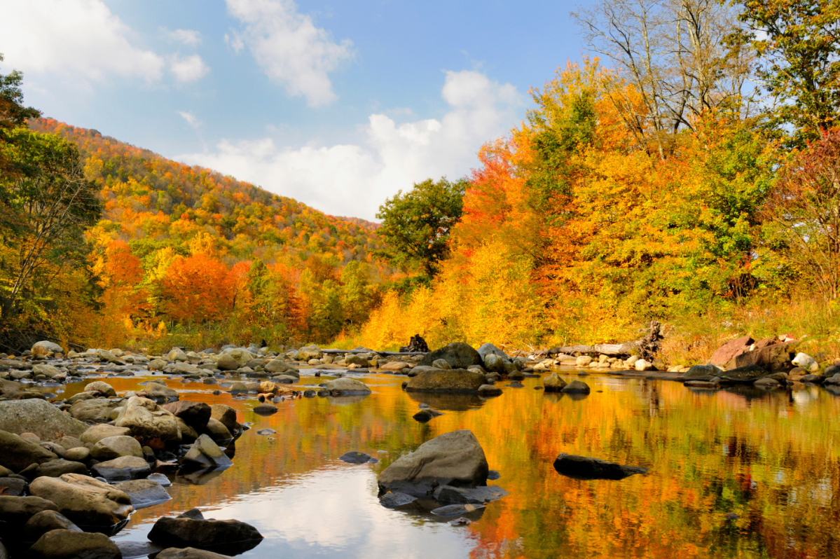 When Do Leaves Change Color in West Virginia?