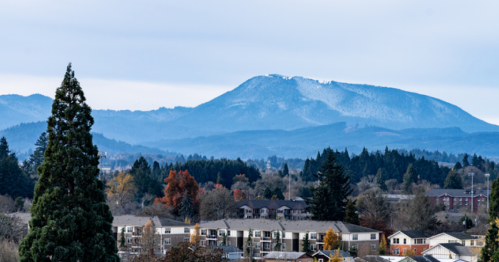 A scenic view of a snow-capped mountain in the distance, surrounded by trees and residential buildings.