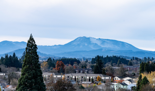 A scenic view of mountains in the background, with a cluster of houses and trees in the foreground under a cloudy sky.