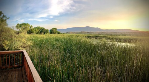 A serene wetland scene with tall grasses, a wooden deck, and distant mountains under a colorful sky at sunset.
