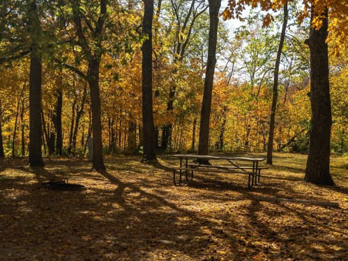 A serene park scene with a picnic table surrounded by trees in vibrant autumn colors and fallen leaves on the ground.