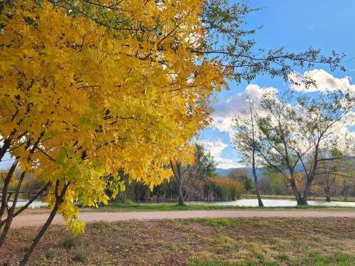A serene landscape featuring vibrant yellow leaves, a calm river, and a clear blue sky with scattered clouds.