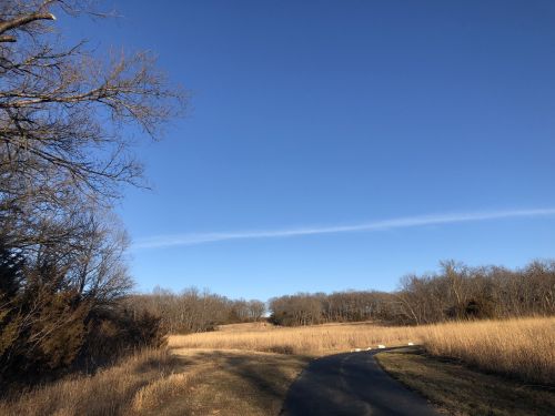 A winding path through a grassy field under a clear blue sky, with trees lining the horizon.