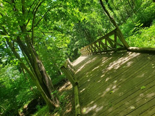 A wooden bridge winding through a lush green forest, surrounded by trees and dappled sunlight.