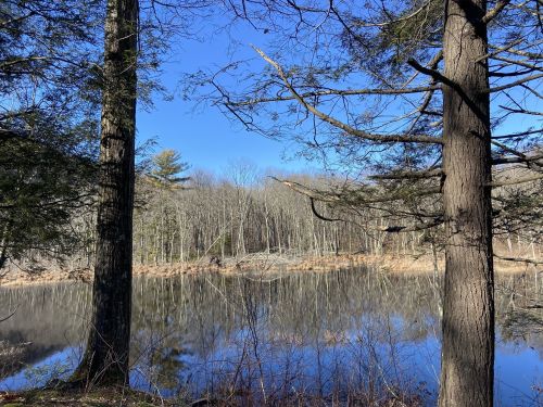 A serene lake surrounded by trees, reflecting the clear blue sky and distant forest on a calm day.