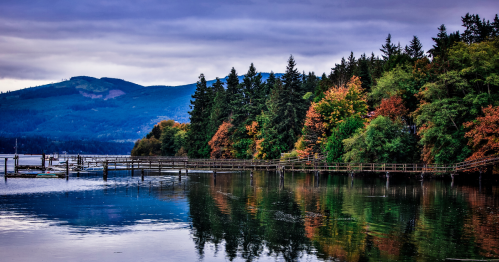 Trees covered in fall foliage surround Discovery Bay in Sequim, Washington.