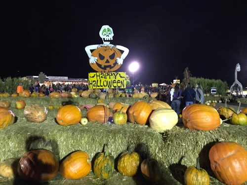 A festive Halloween scene with pumpkins, hay bales, and a skeleton sign saying "Happy Halloween" at night.