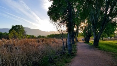 A serene path through a park, lined with trees and tall grass, with a sunset illuminating the landscape.