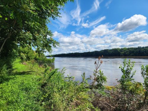 A serene river scene with lush greenery and a blue sky filled with clouds.