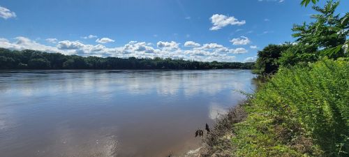 A calm river reflects fluffy clouds under a bright blue sky, surrounded by lush greenery along the bank.