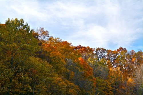 Vibrant autumn foliage on trees under a partly cloudy sky, showcasing shades of orange, yellow, and green.