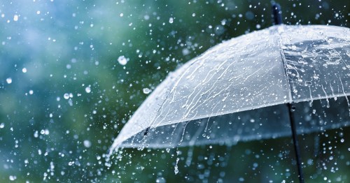 A close-up of a transparent umbrella with raindrops falling against a blurred green background.