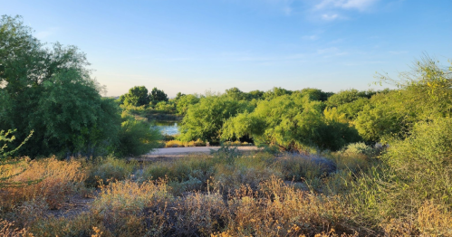 Lush greenery surrounds a calm water body under a clear blue sky, with a pathway visible in the foreground.