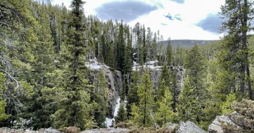 Lush green forest with tall trees and rocky cliffs under a cloudy sky, showcasing a serene natural landscape.