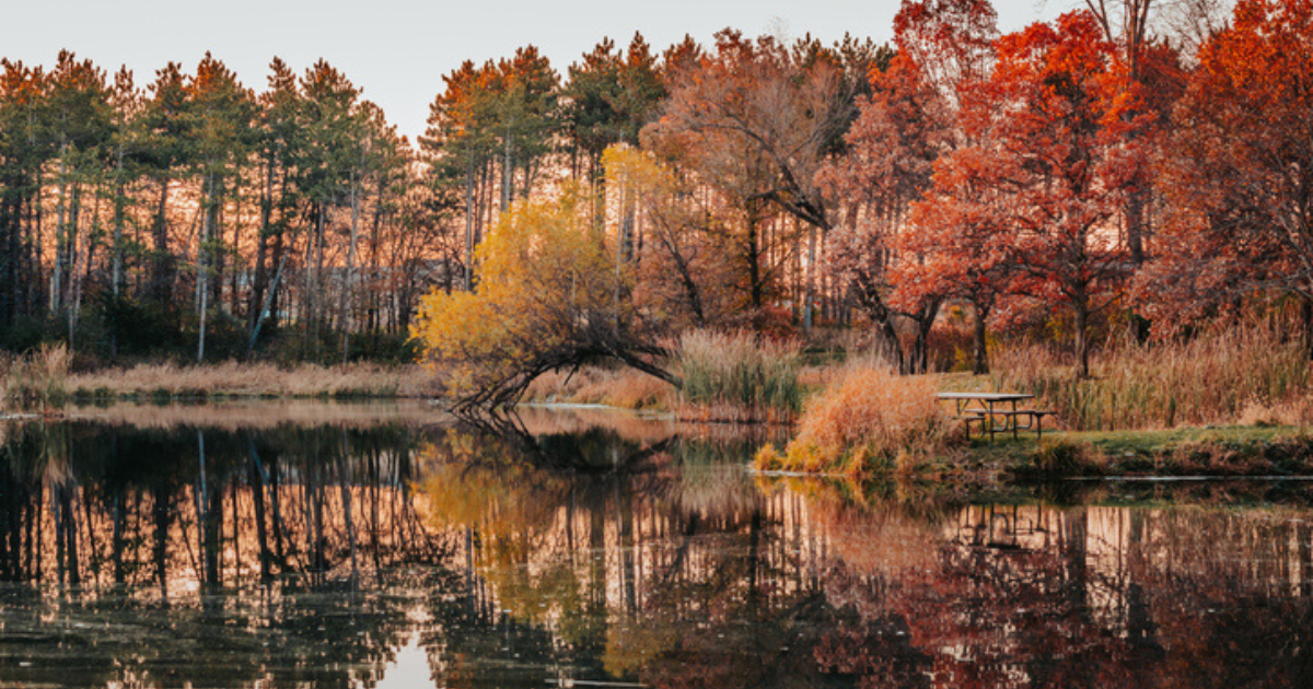 Best Spots To See Fall Foliage In Iowa 2024 Featured Image Size 2024 09 