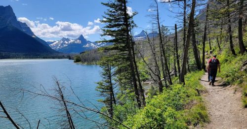 A hiker walks along a scenic trail by a lake, surrounded by trees and mountains under a clear blue sky.