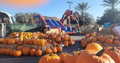 A vibrant outdoor scene with pumpkins, hay bales, and a colorful inflatable slide under a clear blue sky.