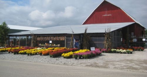 A red barn with a metal roof, surrounded by colorful flower displays and a gravel path.
