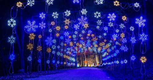 A pathway illuminated by blue and white snowflake lights, creating a festive winter atmosphere.