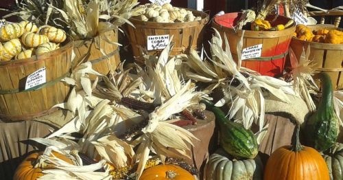Baskets of colorful gourds, pumpkins, and corn husks displayed at a farmers' market.