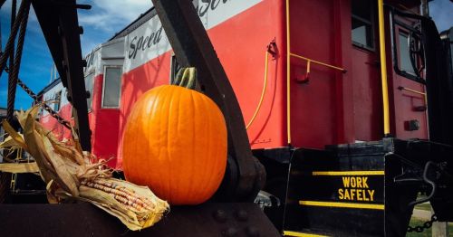 A bright orange pumpkin and dried corn sit on a metal surface in front of a red train car.