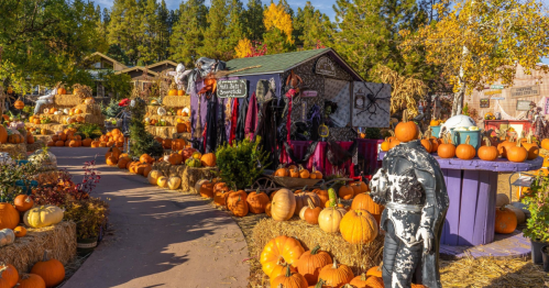 A festive autumn scene with pumpkins, hay bales, and Halloween decorations in a colorful outdoor setting.