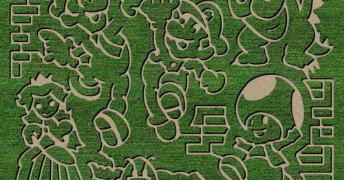 A grassy maze featuring iconic video game characters like Mario, Luigi, Princess Peach, and Toad in playful poses.