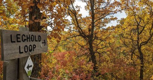 Wooden sign pointing to "Lechold Loop" surrounded by vibrant autumn foliage and trees.