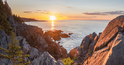 Sunset over rocky coastline with trees, casting warm light on the water and creating a serene landscape.