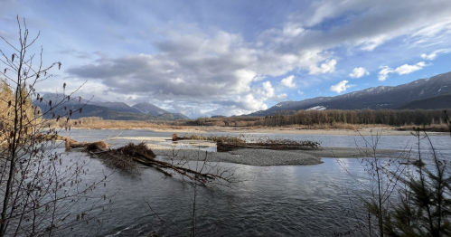 A serene river landscape with mountains in the background, featuring clouds and scattered logs along the water's edge.