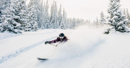 A skier carves through fresh snow in a winter landscape surrounded by tall, snow-covered trees.