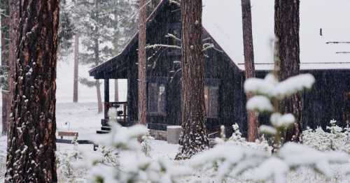 A cozy cabin surrounded by tall trees, blanketed in snow during a winter snowfall.