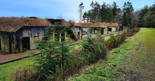 Abandoned military bunkers covered in grass, surrounded by trees and ferns, on a grassy path.