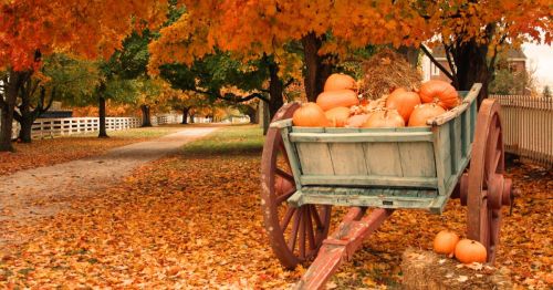 A wooden cart filled with pumpkins sits on a path lined with vibrant autumn leaves and trees.