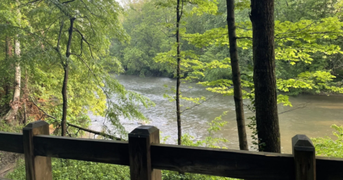 A serene view of a river surrounded by lush green trees, seen from a wooden railing.