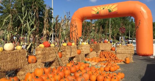 A festive pumpkin display with hay bales and an orange inflatable archway at a fall festival.