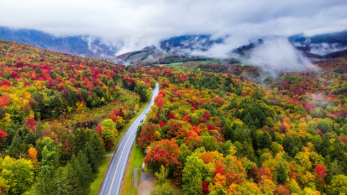 Aerial view of a winding road through vibrant autumn foliage with misty mountains in the background.