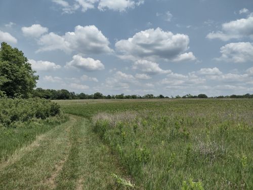 A grassy path leads through a wide, open field under a partly cloudy sky. Lush greenery borders the trail.