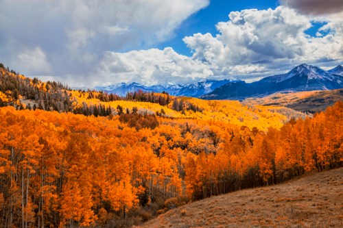 Vibrant autumn landscape with golden aspen trees, mountains, and a cloudy blue sky.