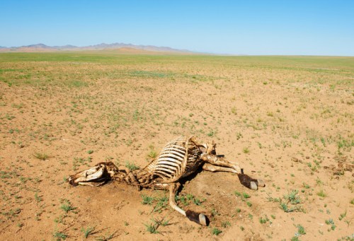 A skeletal horse lies on dry, barren land under a clear blue sky, surrounded by sparse vegetation and distant mountains.